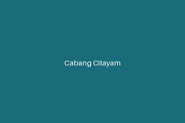 Fathira Laundry Cabang Citayam